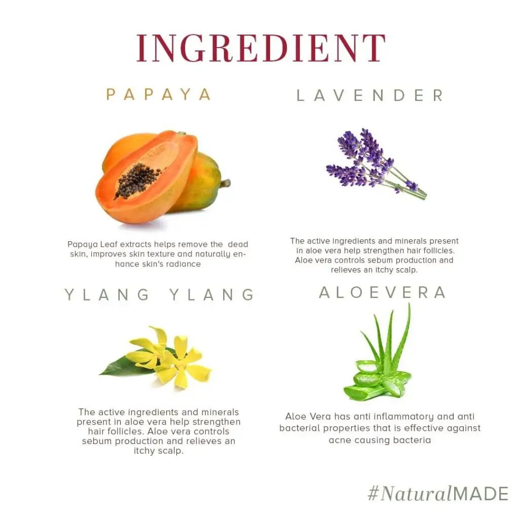 Image featuring key natural ingredients with benefits for skincare.